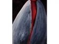 Il-pastore-e-la-luna-23