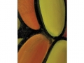 Pastori-d-Abruzzo-27