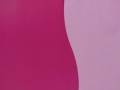 PR027